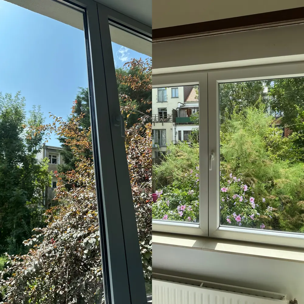 Fenêtre nettoyée à Woluwe-Saint-Lambert, avant/après avec vue dégagée sur le jardin